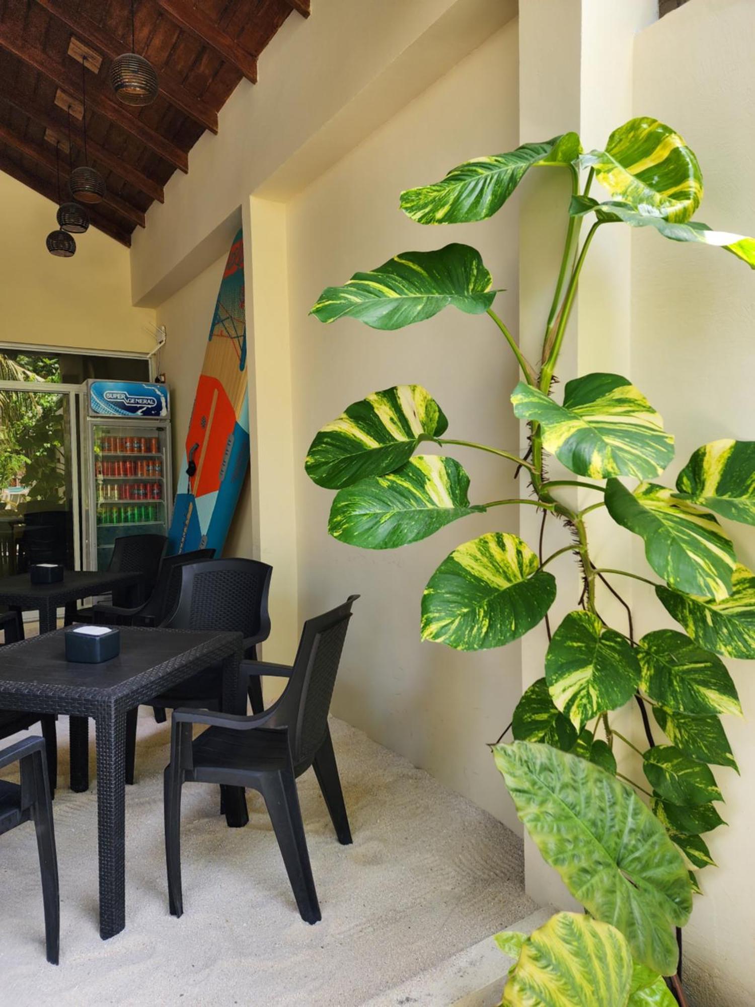 Dhigurah Dhonveli Boutique Hotel Bagian luar foto